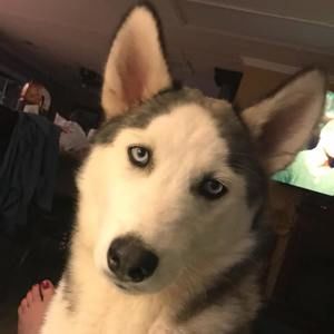 Meet your Posher, Stacy